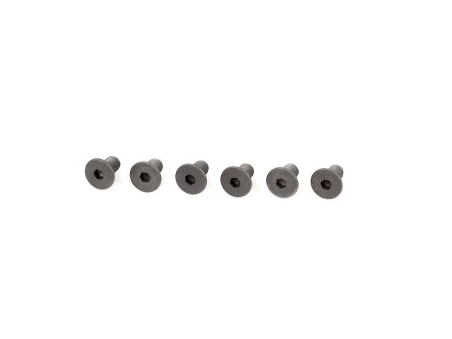 INFINITY　B022505　M2.5x5mmフラットヘッドスクリュー（6個）TS